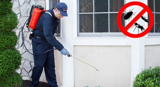 Gülşehir Fare İlaçlama böcek ilaçlama ve haşere kontrolü — ilaclama-tr.com